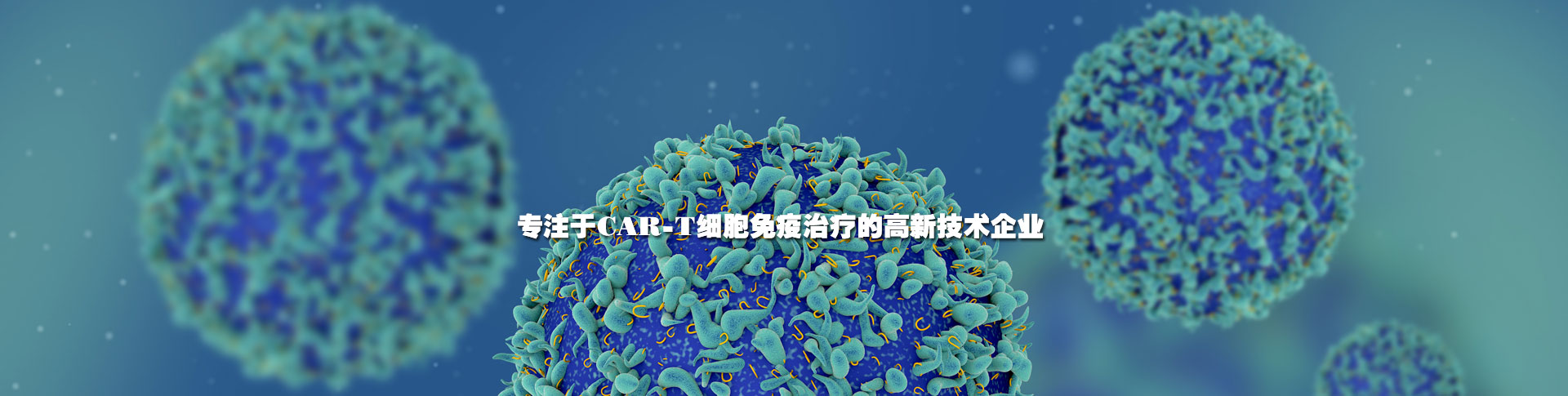 这是描述信息 这是描述信息