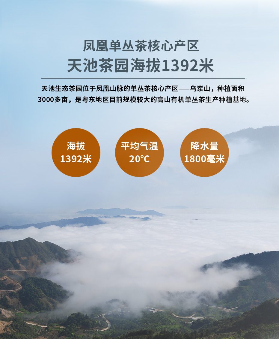 这是描述信息 这是描述信息