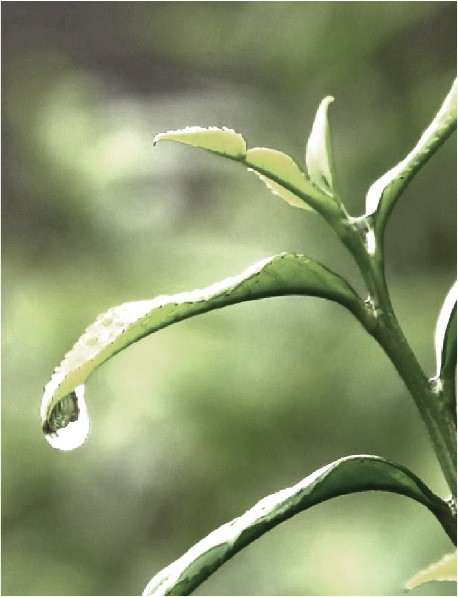 这是描述信息 这是描述信息