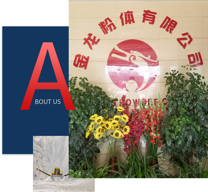 廣西賀州市金龍粉體有限公司 廣西賀州市金龍粉體有限公司