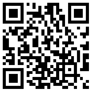 Mobile Website Mobile Website