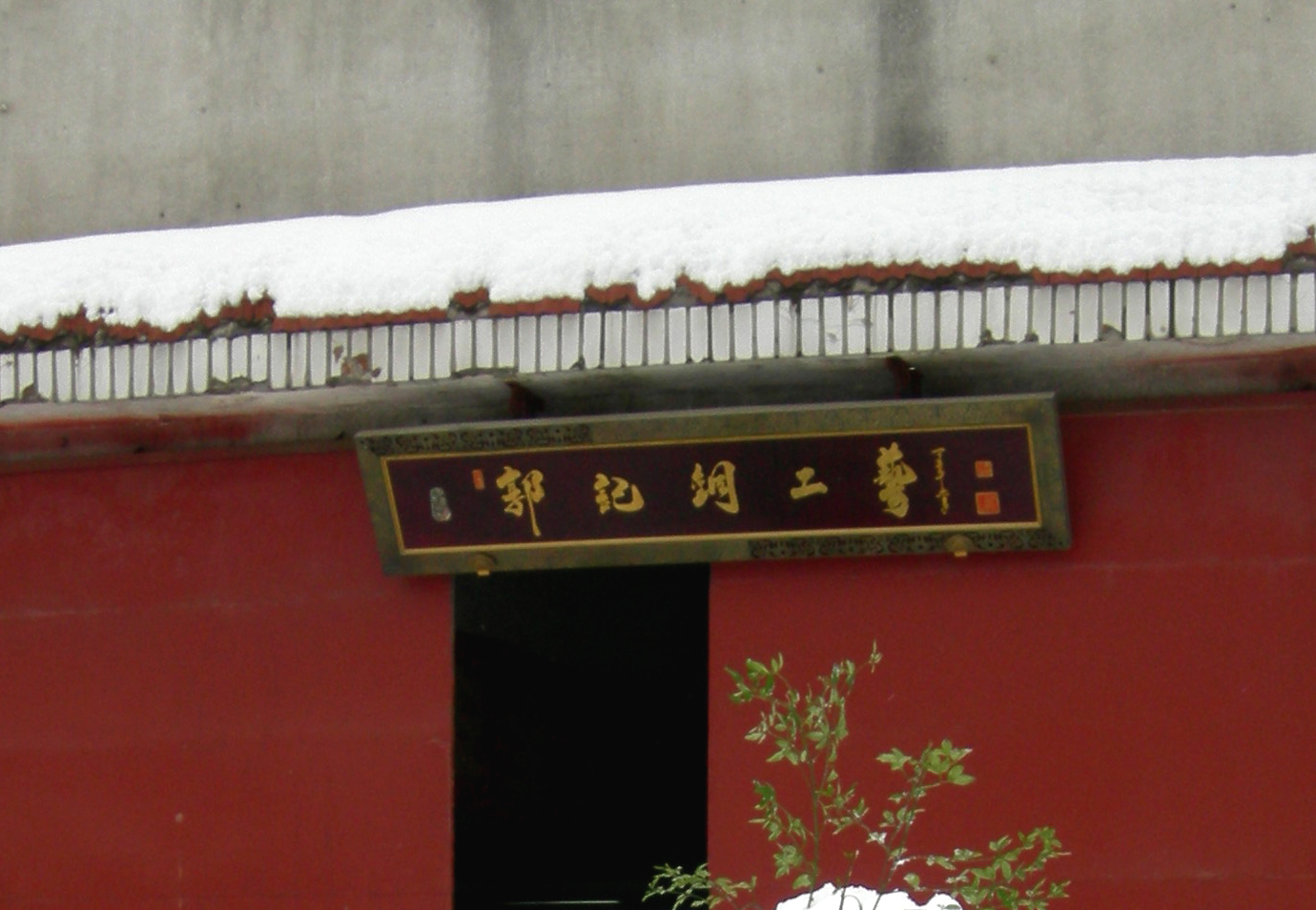 中本集团