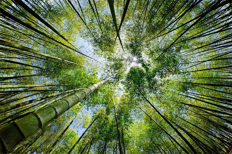 这是描述信息 这是描述信息