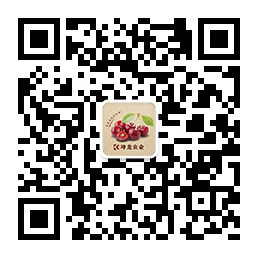 这是描述信息 这是描述信息