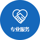 专业服务 专业服务