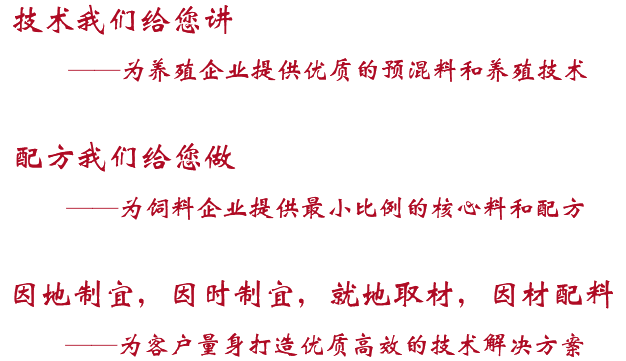 这是描述信息 这是描述信息