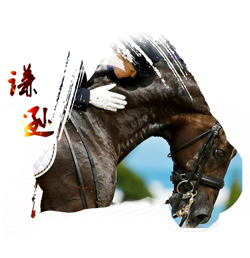 附加价值 附加价值