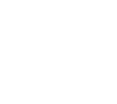 维佳 维佳