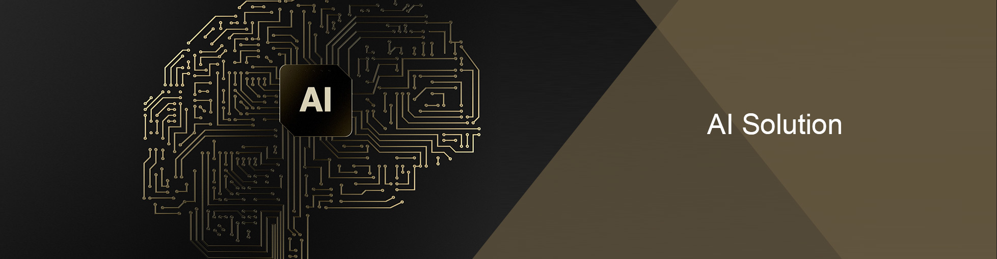 AI Solution AI Solution