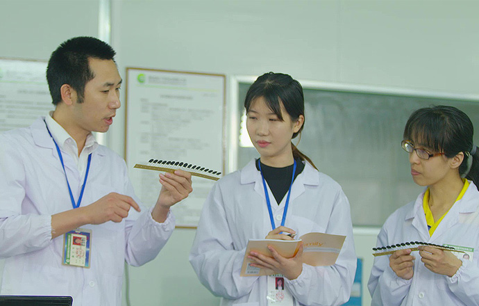 xincheng xincheng