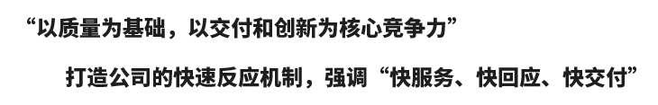 核心竞争力 核心竞争力