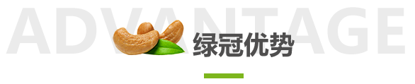 广西绿冠食品工业有限公司