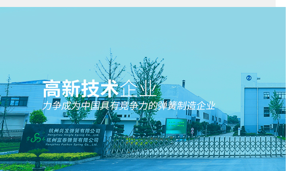 杭州兴发弹簧 杭州兴发弹簧