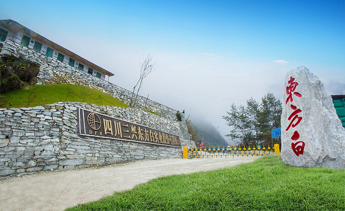 Dong Fang Bai Mine Dong Fang Bai Mine