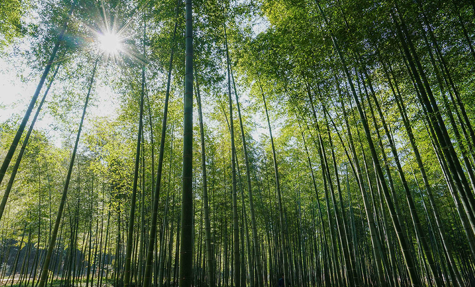 企业介绍 企业介绍