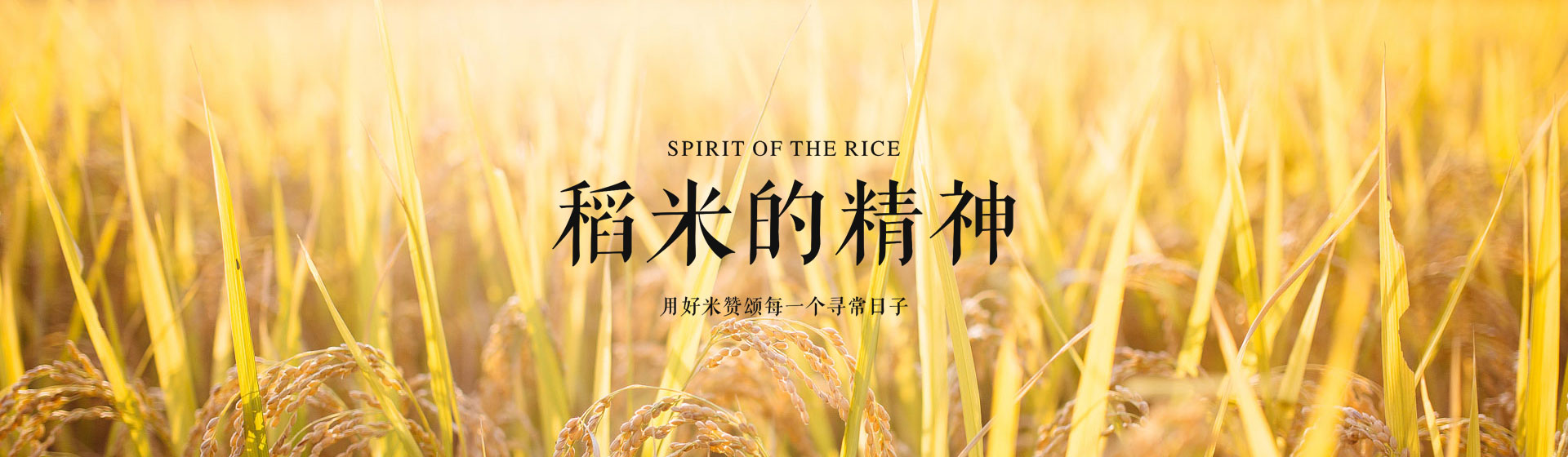 这是描述信息 这是描述信息