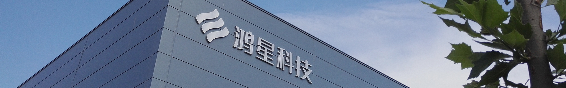 鸿星 鸿星
