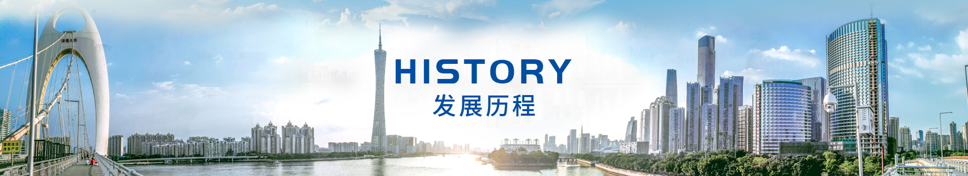 发展历程 发展历程