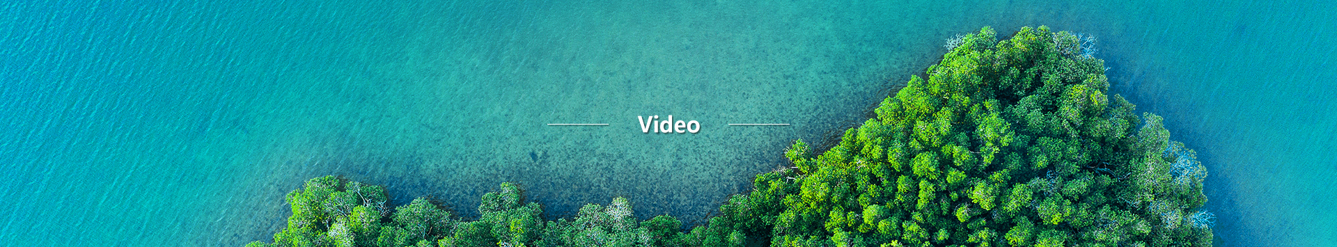 Video Video