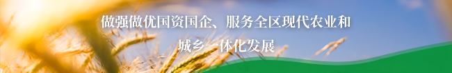 这是描述信息 这是描述信息