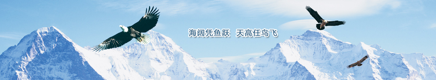 关于我们 关于我们