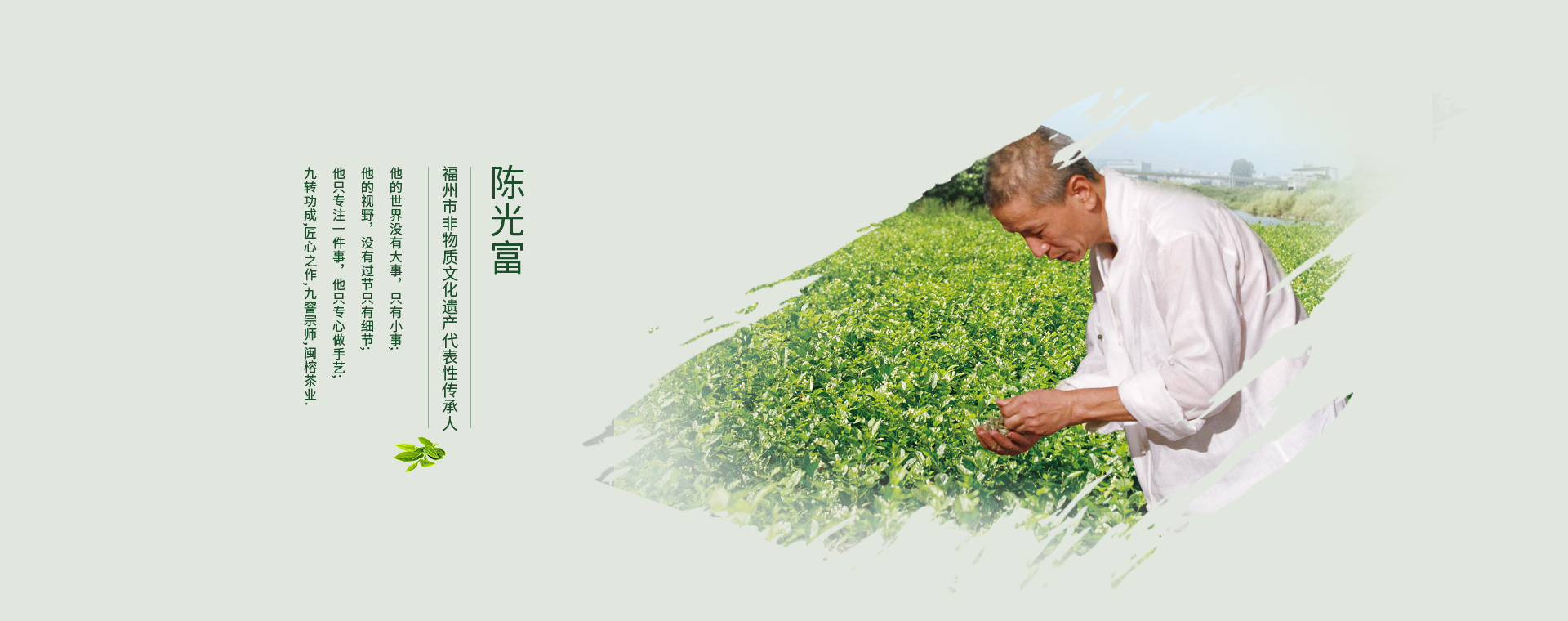 这是描述信息