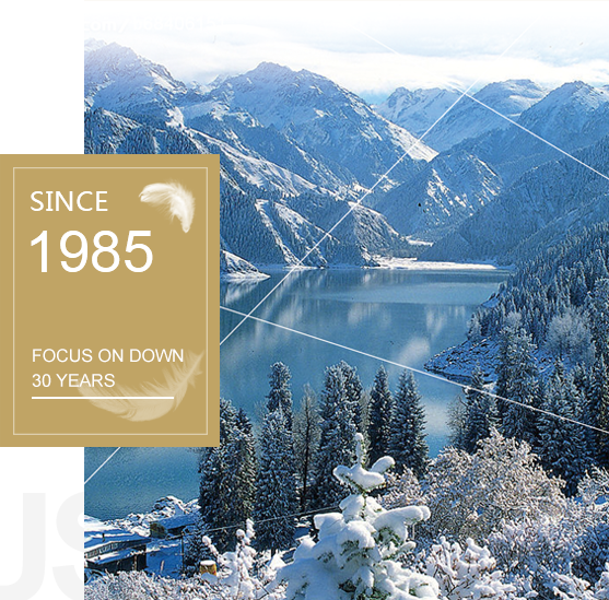 Jilin Bailu Down Products Co., Ltd. Jilin Bailu Down Products Co., Ltd.