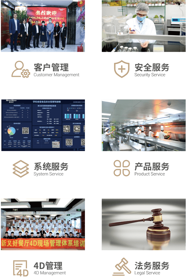 标准经营体系模式 标准经营体系模式