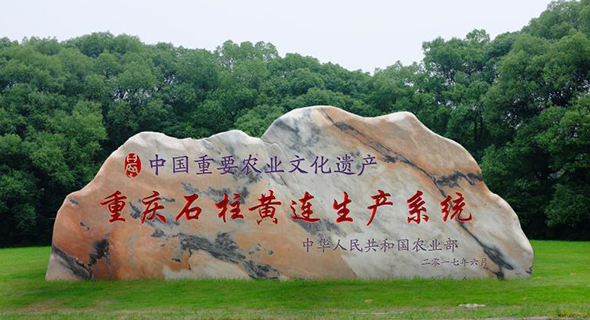 关于我们 关于我们