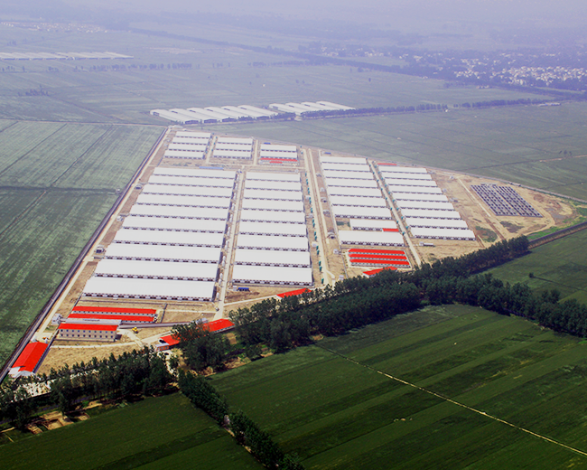 Xinxin Animal Husbandry Co., Ltd. in Huangfan District, Henan Province Xinxin Animal Husbandry Co., Ltd. in Huangfan District, Henan Province