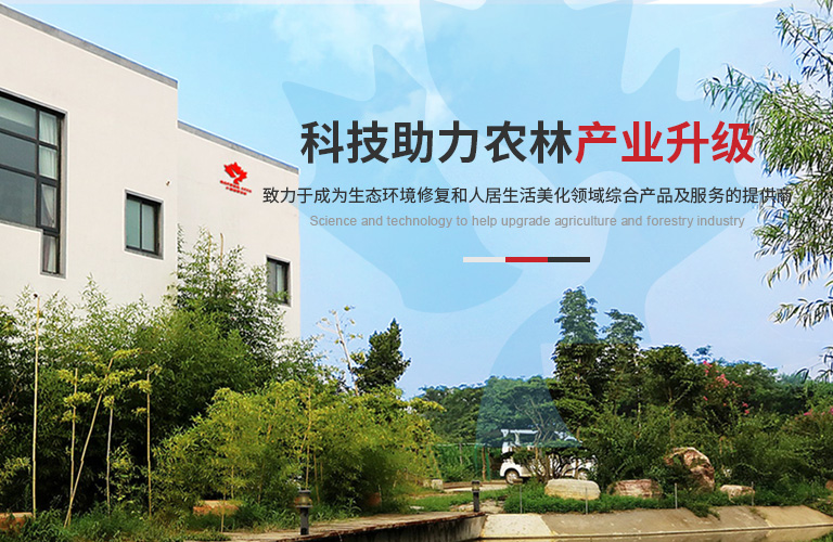 红枫种苗股份 红枫种苗股份