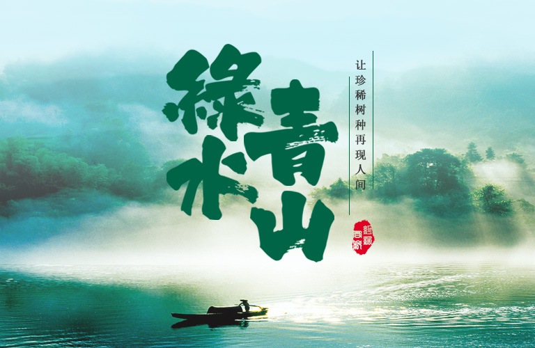 红枫种苗股份 红枫种苗股份