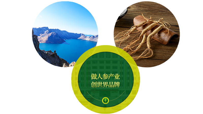 中晨美 中晨美