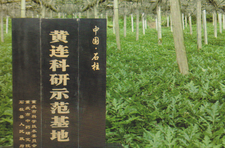 基地建设 基地建设