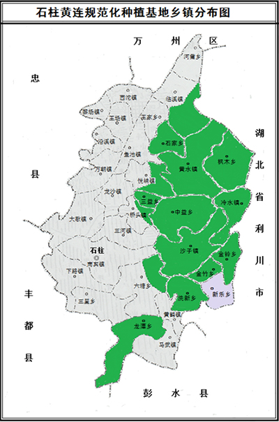 基地建设 基地建设