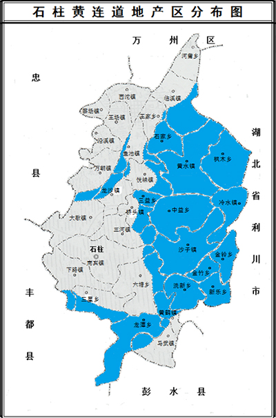 基地建设 基地建设