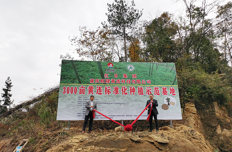 基地建设 基地建设