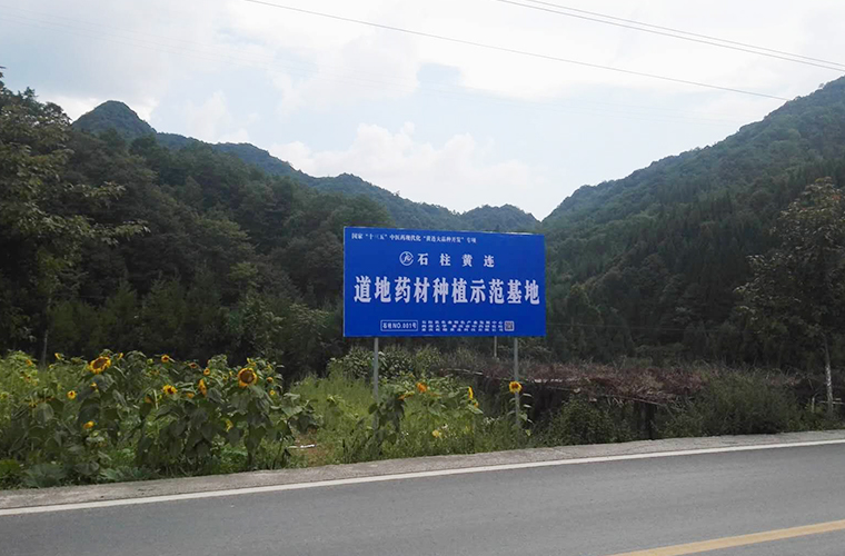 基地建设 基地建设