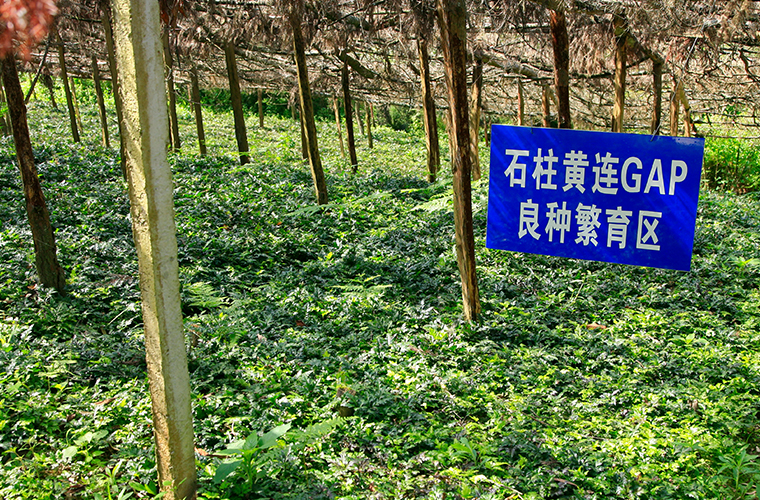 基地建设 基地建设
