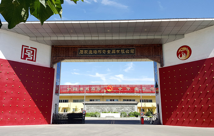 公司简介 公司简介