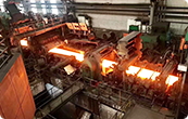 Shandong LY Steel Co., Ltd.