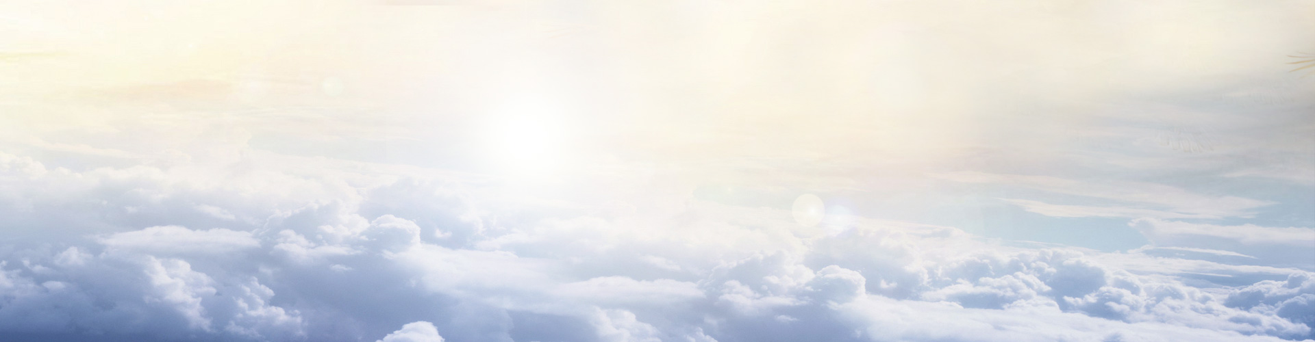 banner banner