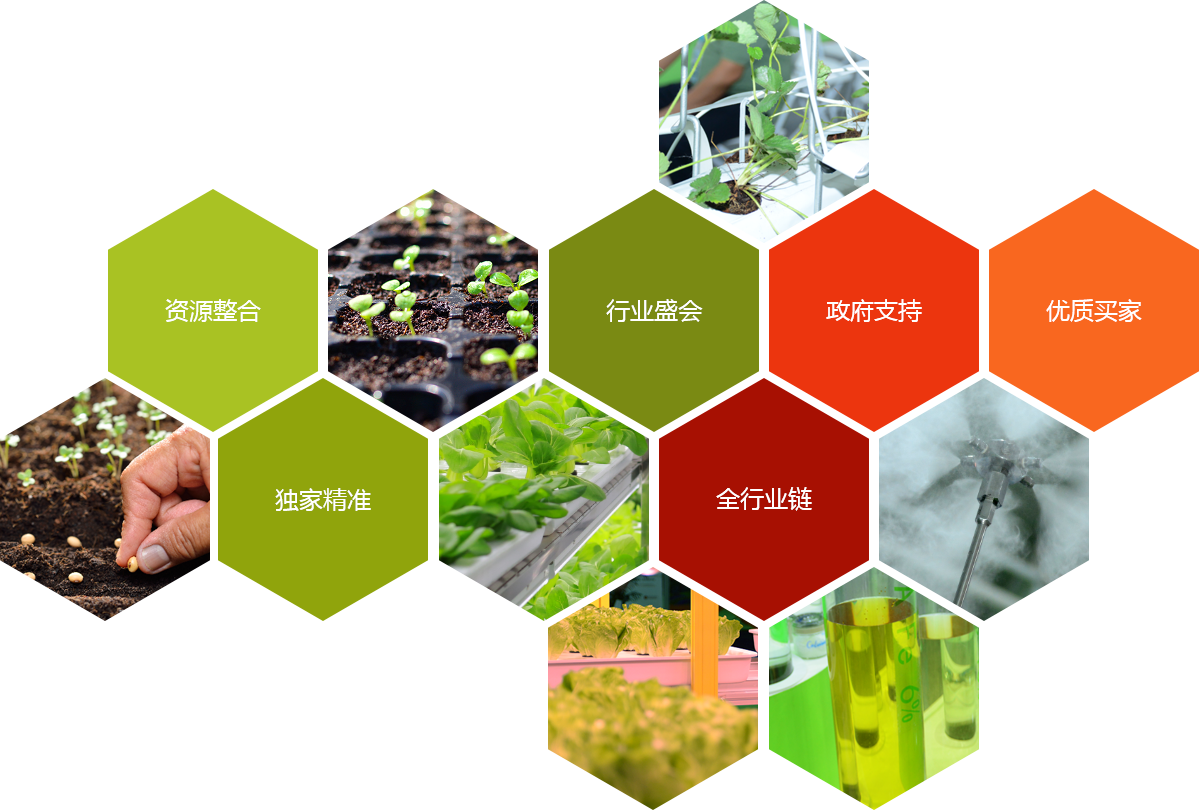 horti china horti china