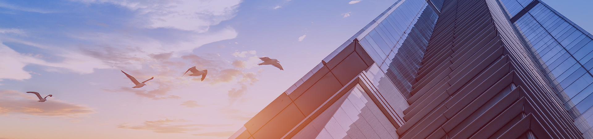 banner banner