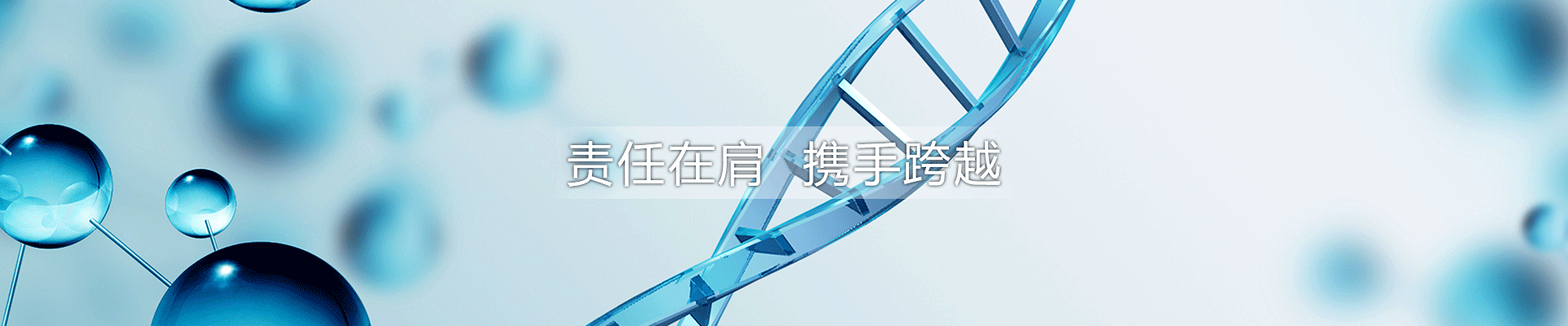 石家莊華旭藥業有限責任公司 石家莊華旭藥業有限責任公司