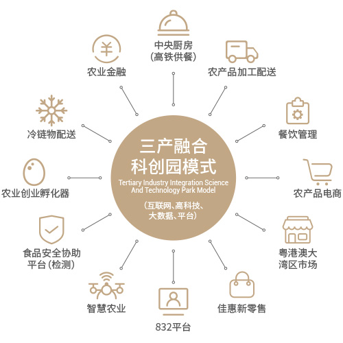 网链信息 网链信息
