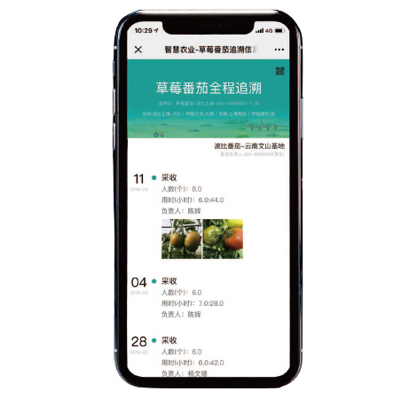 网链信息 网链信息