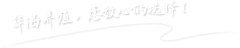 华海 华海