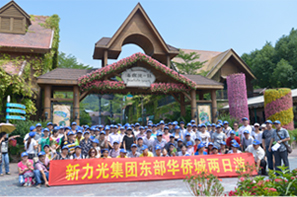 新力光 新力光