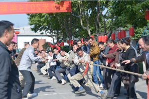 新力光 新力光